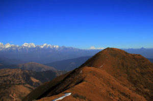 Pikay in Everest