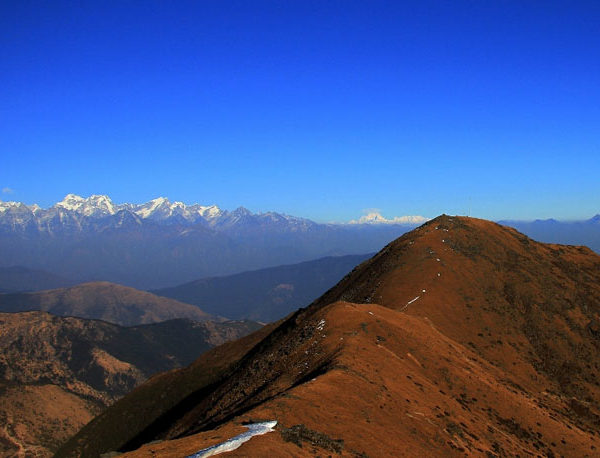 Pikay in Everest