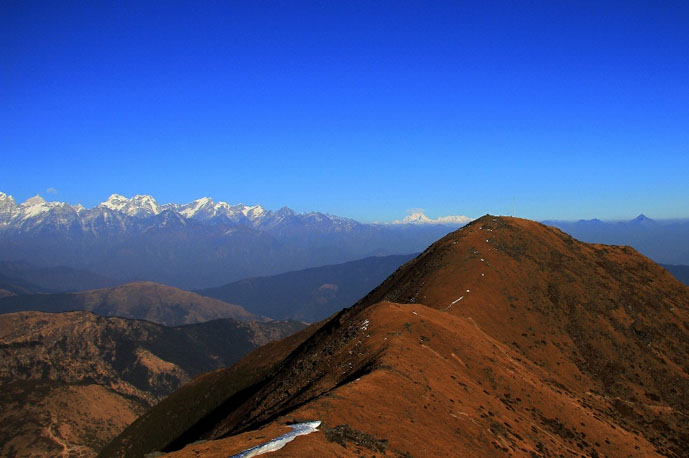 Pikay in Everest