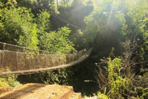 Ghorepani trek