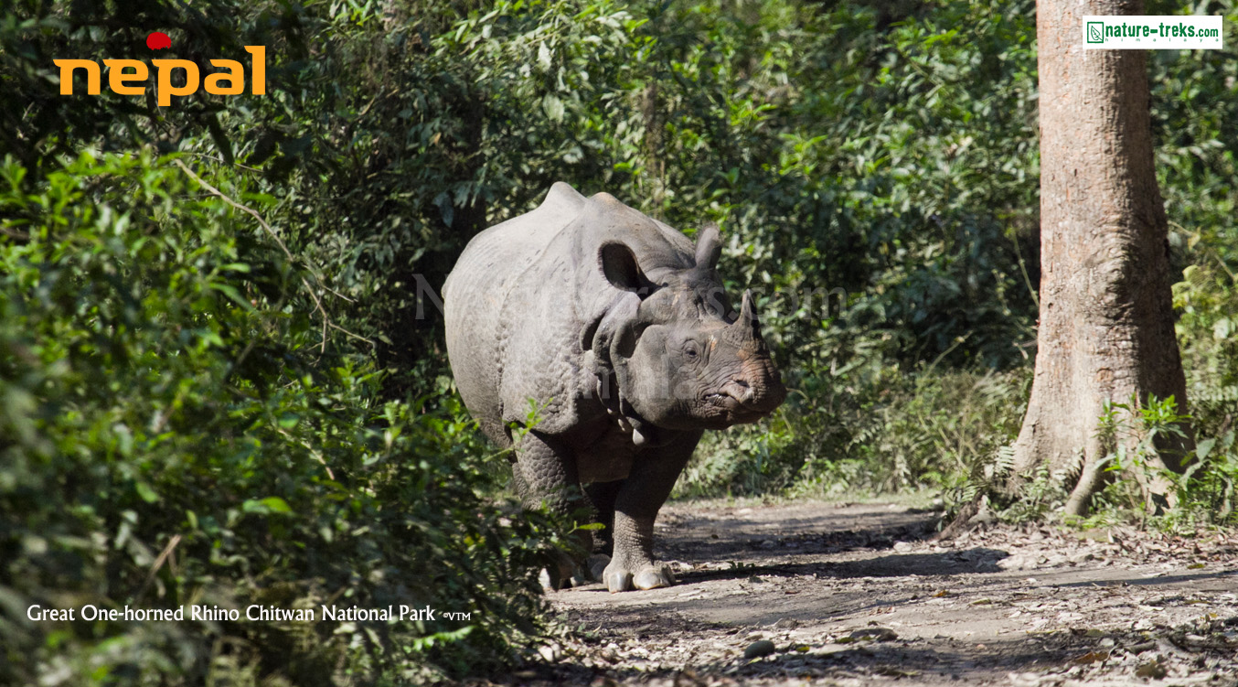 Chitwan national park