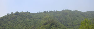 Shivapuri national park hike