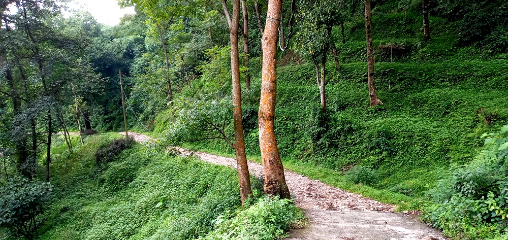 Mountain biking