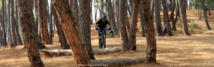 mountainbiking