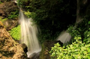 Monsoon Hike_SNP