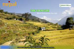 Environment Day 2020