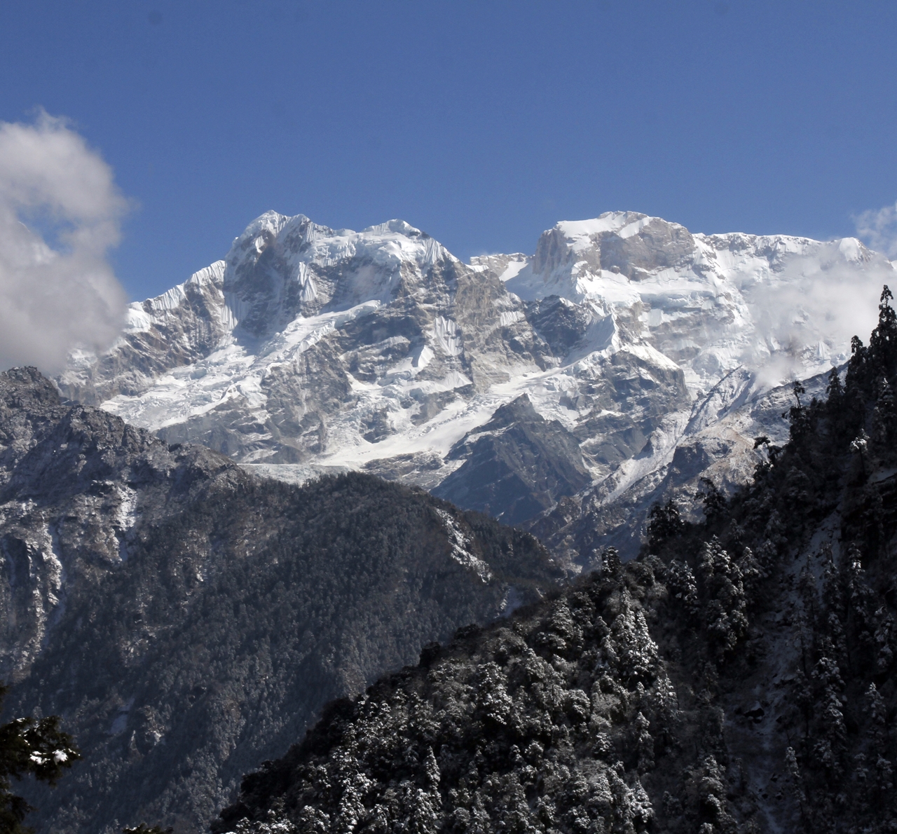 Snow Leopard Trek